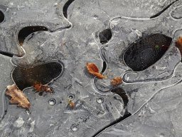 Rainer Hanemann "Eis kalt"